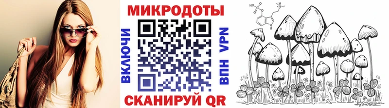 Галлюциногенные грибы MAGIC MUSHROOMS Вышний Волочёк